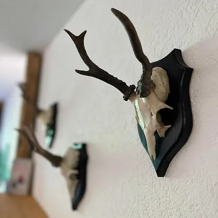 Appartamento Bergtraum